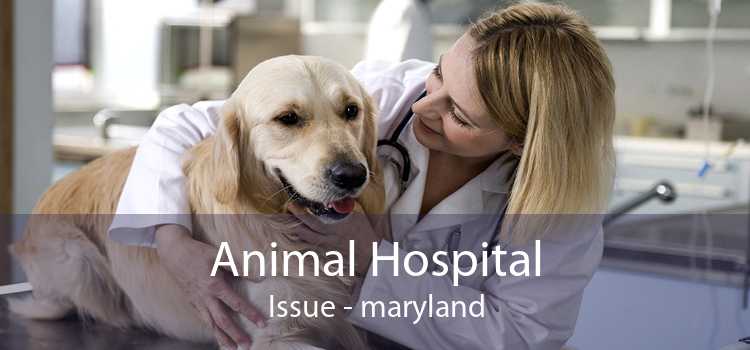 Animal Hospital Issue - maryland