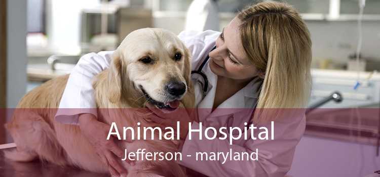 Animal Hospital Jefferson - maryland