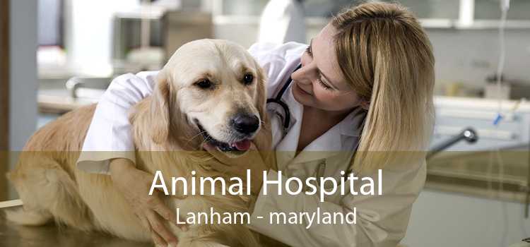 Animal Hospital Lanham - maryland