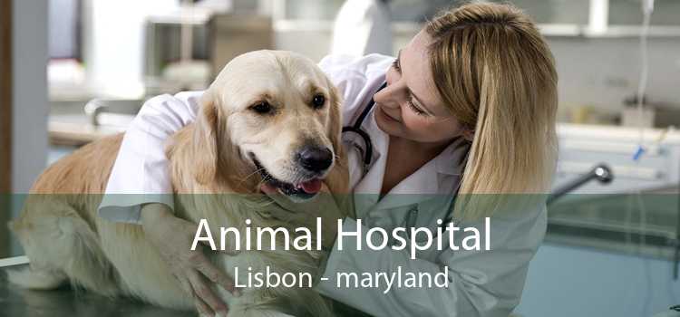 Animal Hospital Lisbon - maryland