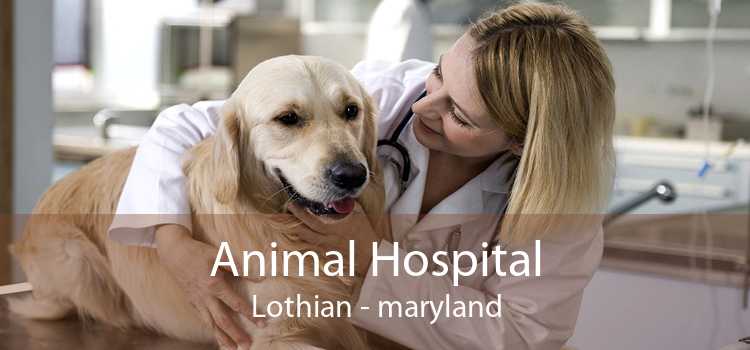 Animal Hospital Lothian - maryland