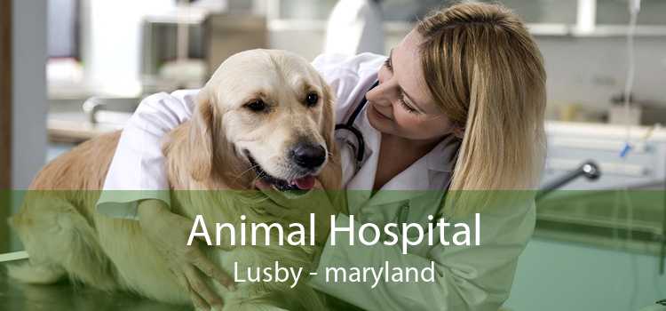 Animal Hospital Lusby - maryland