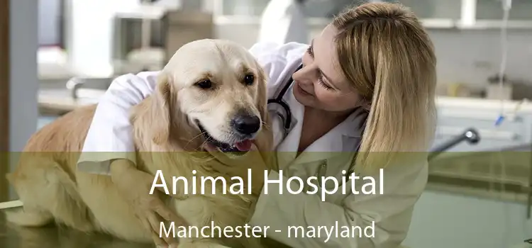Animal Hospital Manchester - maryland