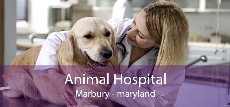 Animal Hospital Marbury - maryland