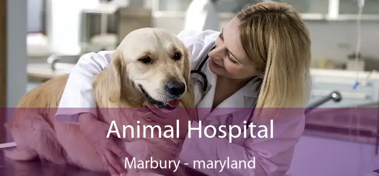 Animal Hospital Marbury - maryland