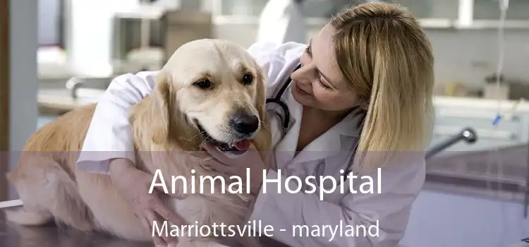 Animal Hospital Marriottsville - maryland