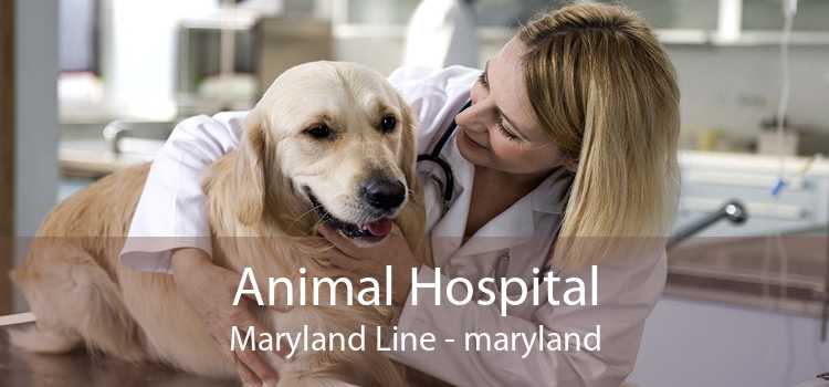 Animal Hospital Maryland Line - maryland