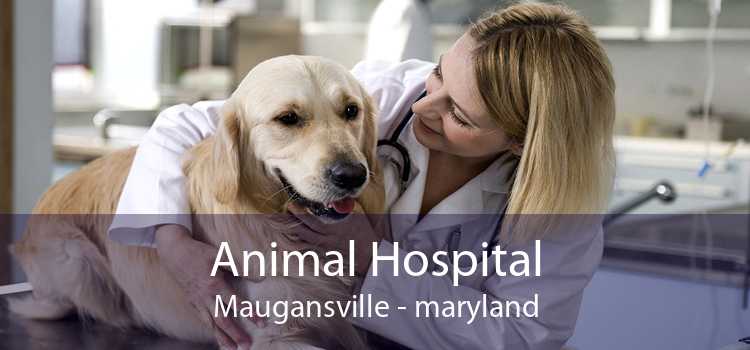 Animal Hospital Maugansville - maryland