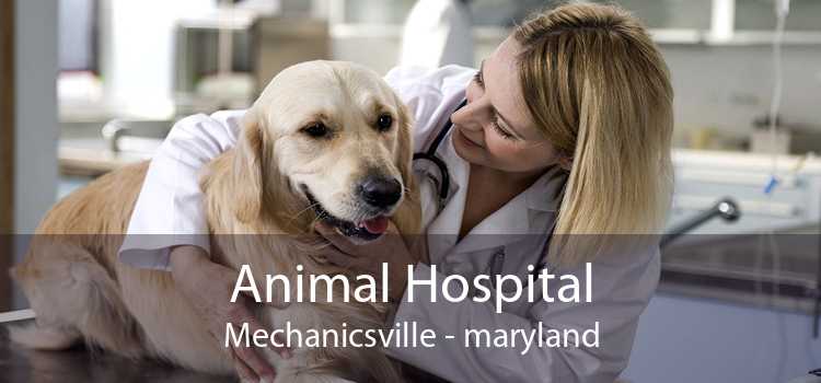 Animal Hospital Mechanicsville - maryland