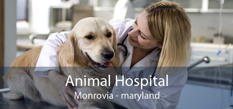 Animal Hospital Monrovia - maryland