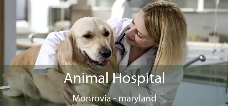Animal Hospital Monrovia - maryland