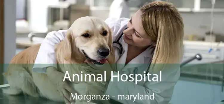 Animal Hospital Morganza - maryland