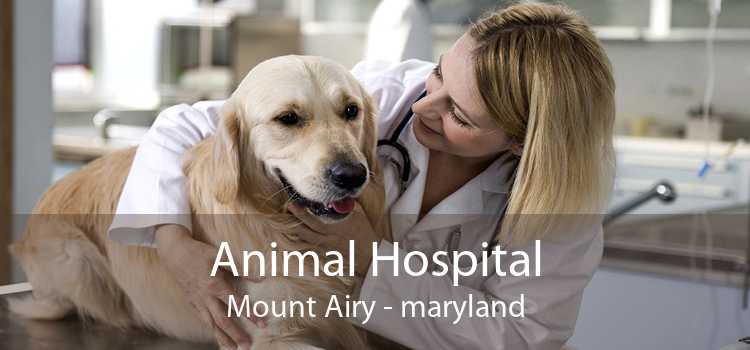 Animal Hospital Mount Airy - maryland