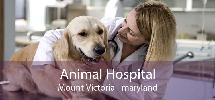 Animal Hospital Mount Victoria - maryland