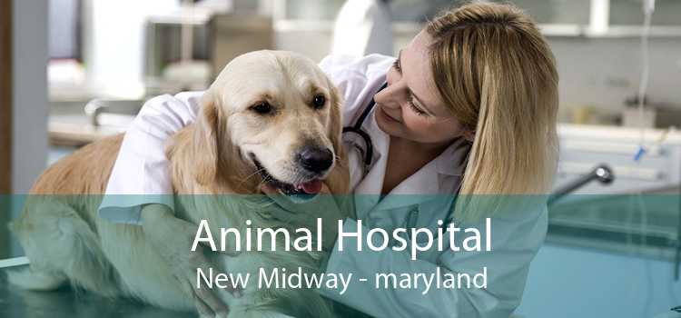 Animal Hospital New Midway - maryland