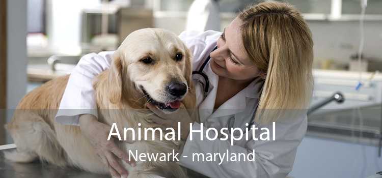 Animal Hospital Newark - maryland