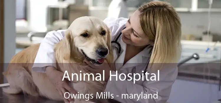 Animal Hospital Owings Mills - maryland