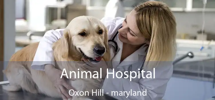 Animal Hospital Oxon Hill - maryland