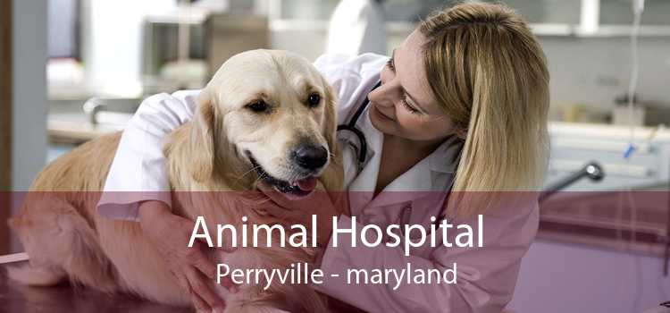 Animal Hospital Perryville - maryland