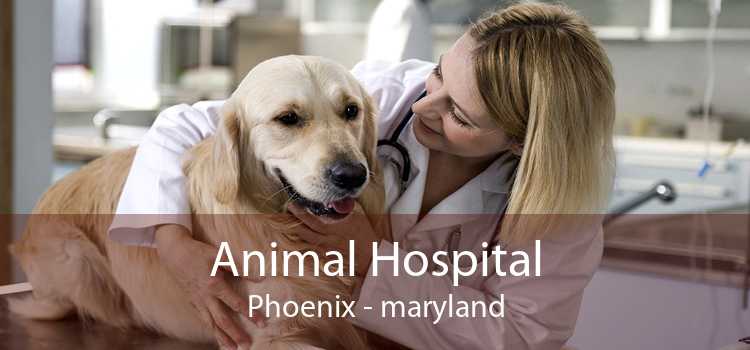 Animal Hospital Phoenix - maryland