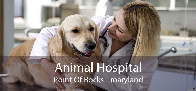 Animal Hospital Point Of Rocks - maryland