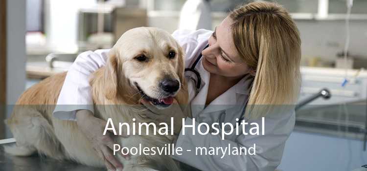 Animal Hospital Poolesville - maryland