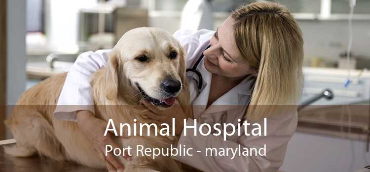 Animal Hospital Port Republic - maryland