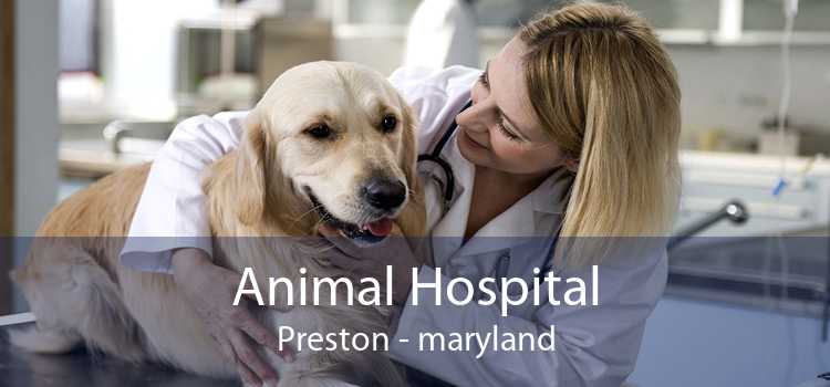 Animal Hospital Preston - maryland