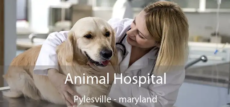 Animal Hospital Pylesville - maryland