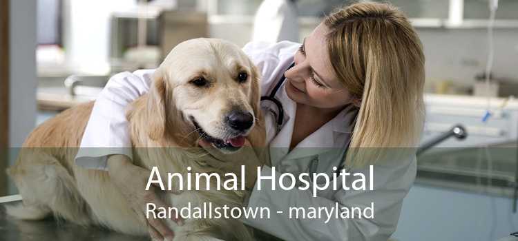 Animal Hospital Randallstown - maryland