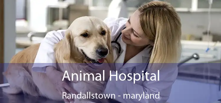 Animal Hospital Randallstown - maryland