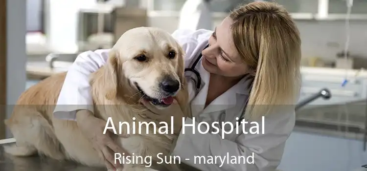 Animal Hospital Rising Sun - maryland