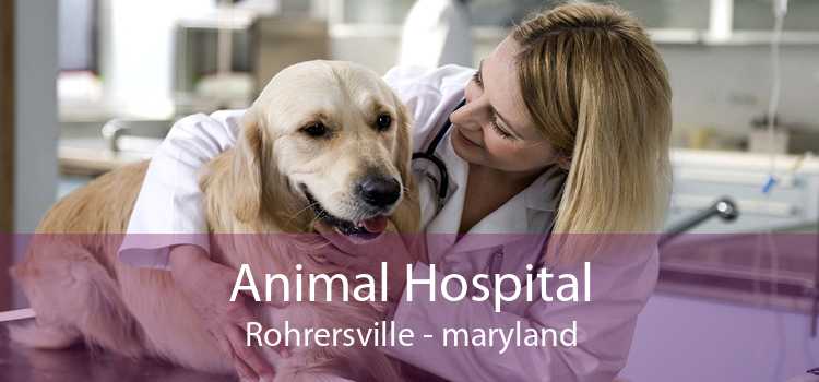 Animal Hospital Rohrersville - maryland