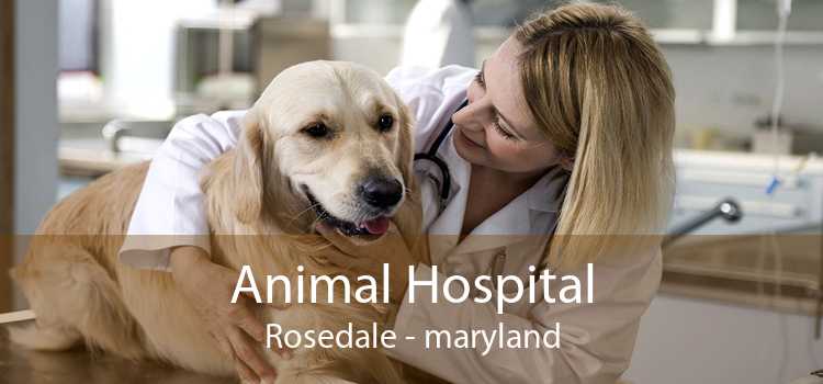 Animal Hospital Rosedale - maryland