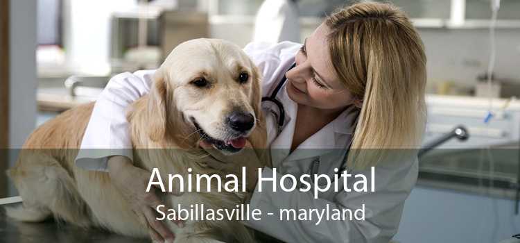 Animal Hospital Sabillasville - maryland