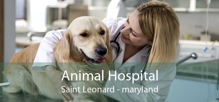 Animal Hospital Saint Leonard - maryland