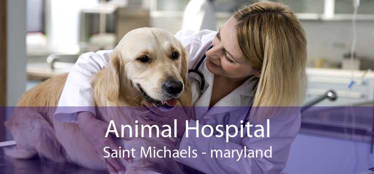 Animal Hospital Saint Michaels - maryland