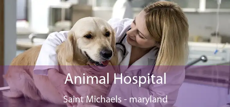Animal Hospital Saint Michaels - maryland