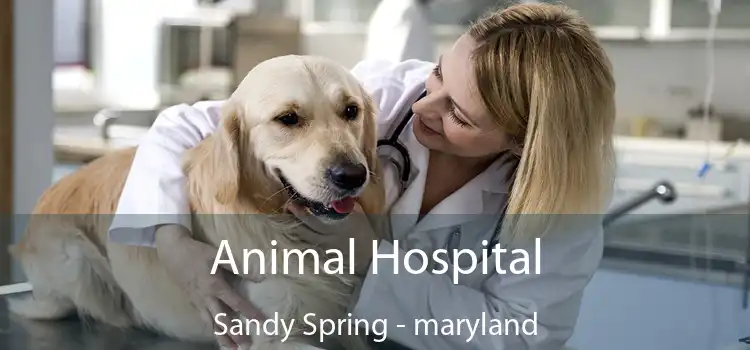 Animal Hospital Sandy Spring - maryland