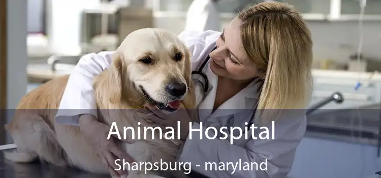 Animal Hospital Sharpsburg - maryland