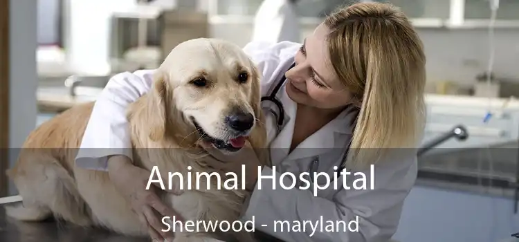 Animal Hospital Sherwood - maryland