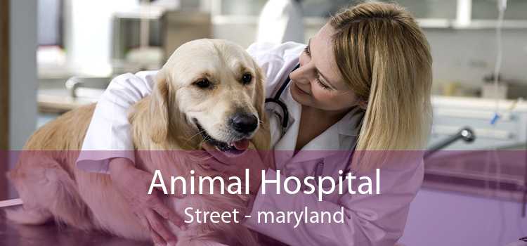 Animal Hospital Street - maryland