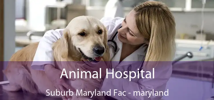 Animal Hospital Suburb Maryland Fac - maryland