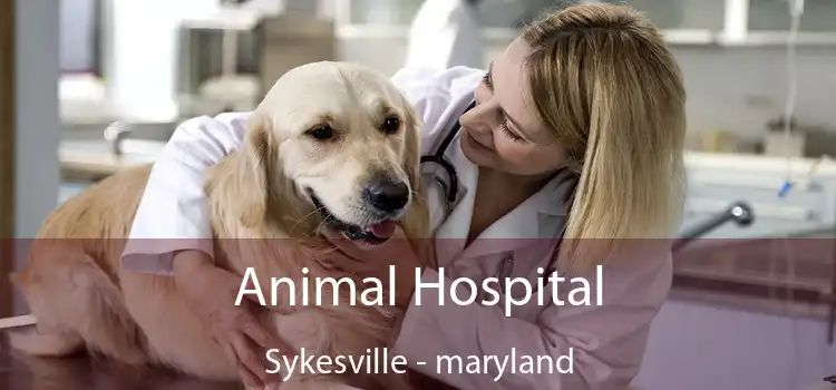 Animal Hospital Sykesville - maryland