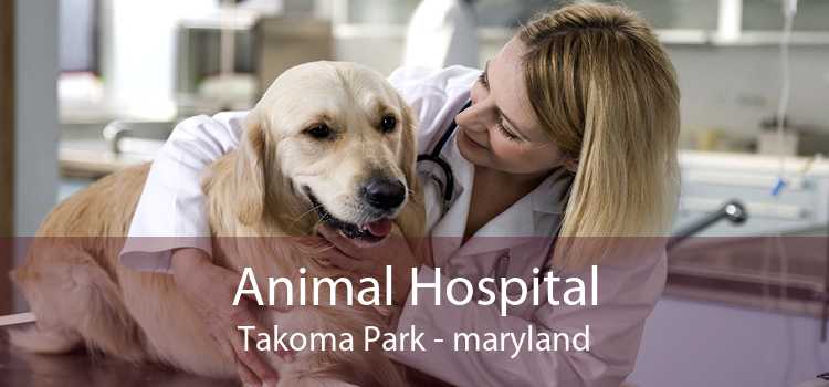 Animal Hospital Takoma Park - maryland