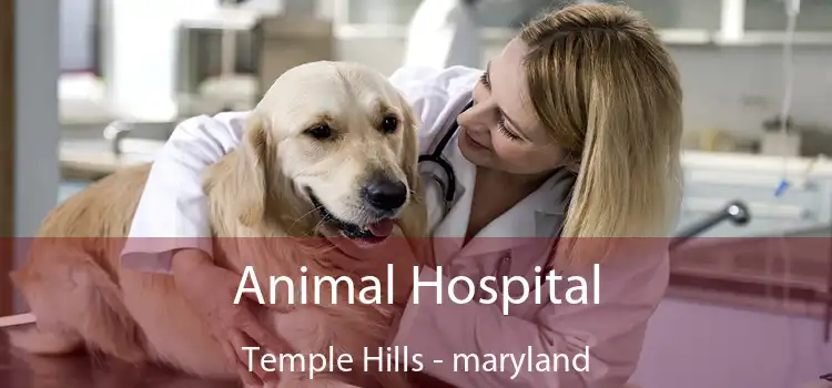 Animal Hospital Temple Hills - maryland