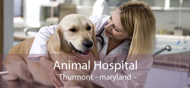 Animal Hospital Thurmont - maryland