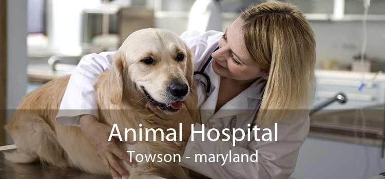 Animal Hospital Towson - maryland