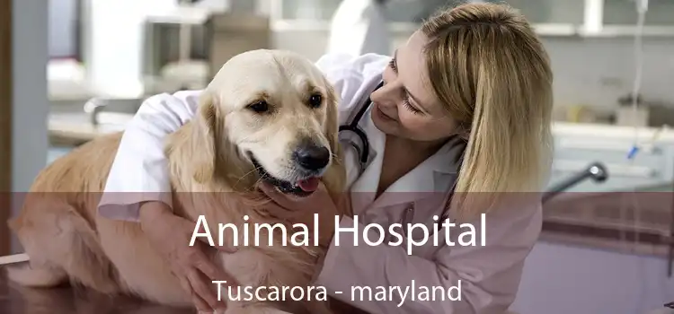 Animal Hospital Tuscarora - maryland