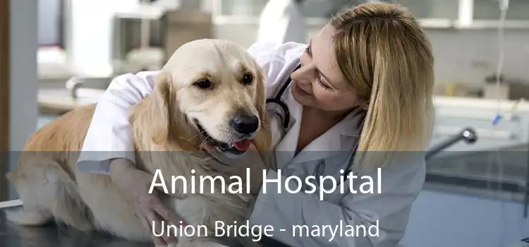Animal Hospital Union Bridge - maryland